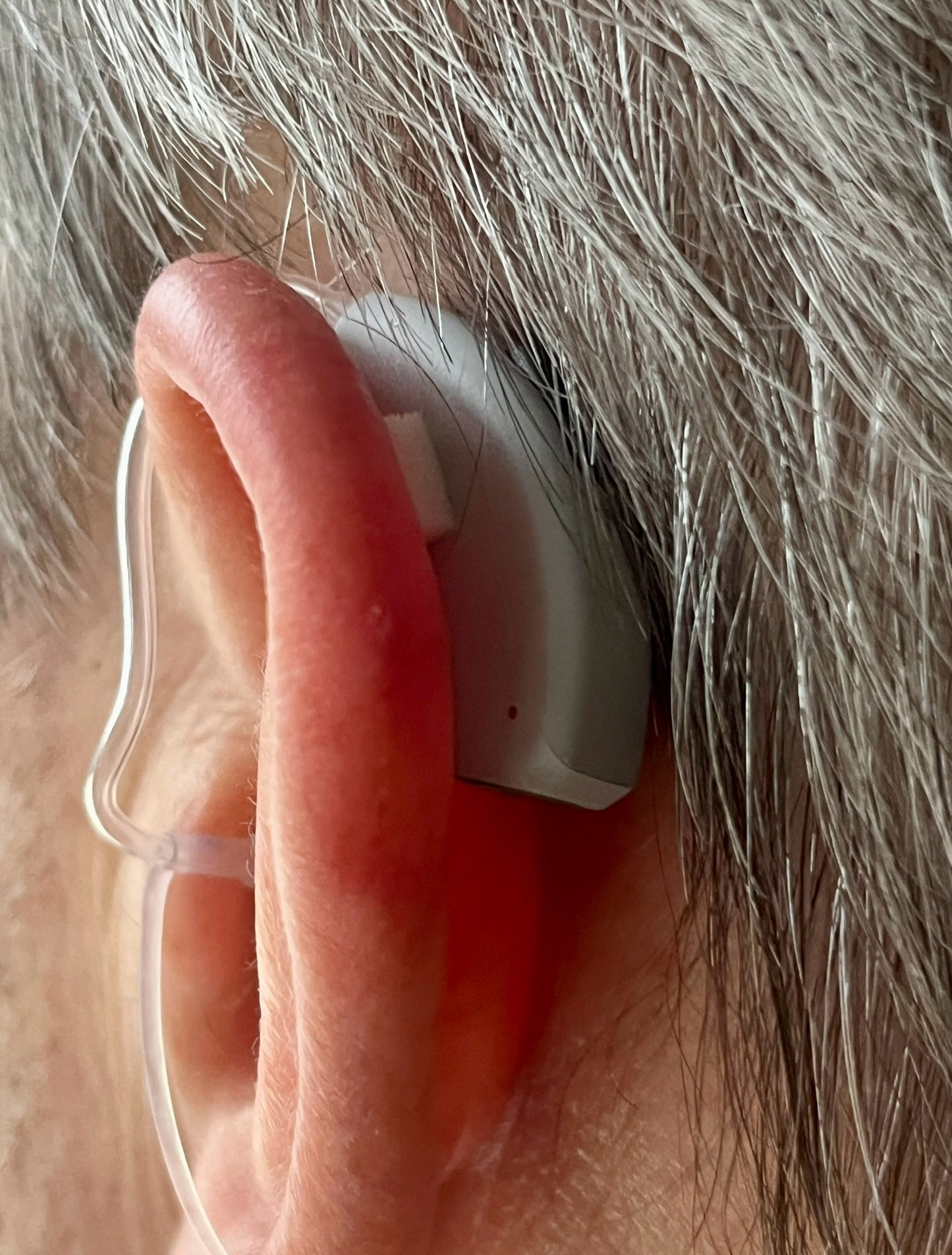 EarGripz Hearing Aid Grips (60-Pack)