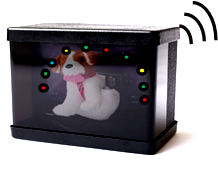 Centering: 3D Toy (Lights + Sound + Motion Dog)