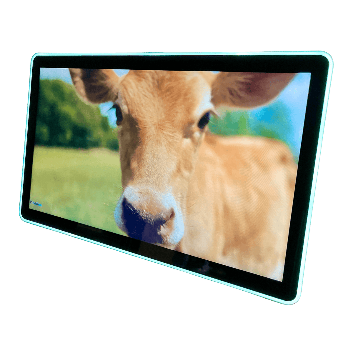 Center Monitor - HD Video Monitor - for VDS-3000 Series 2 and 3