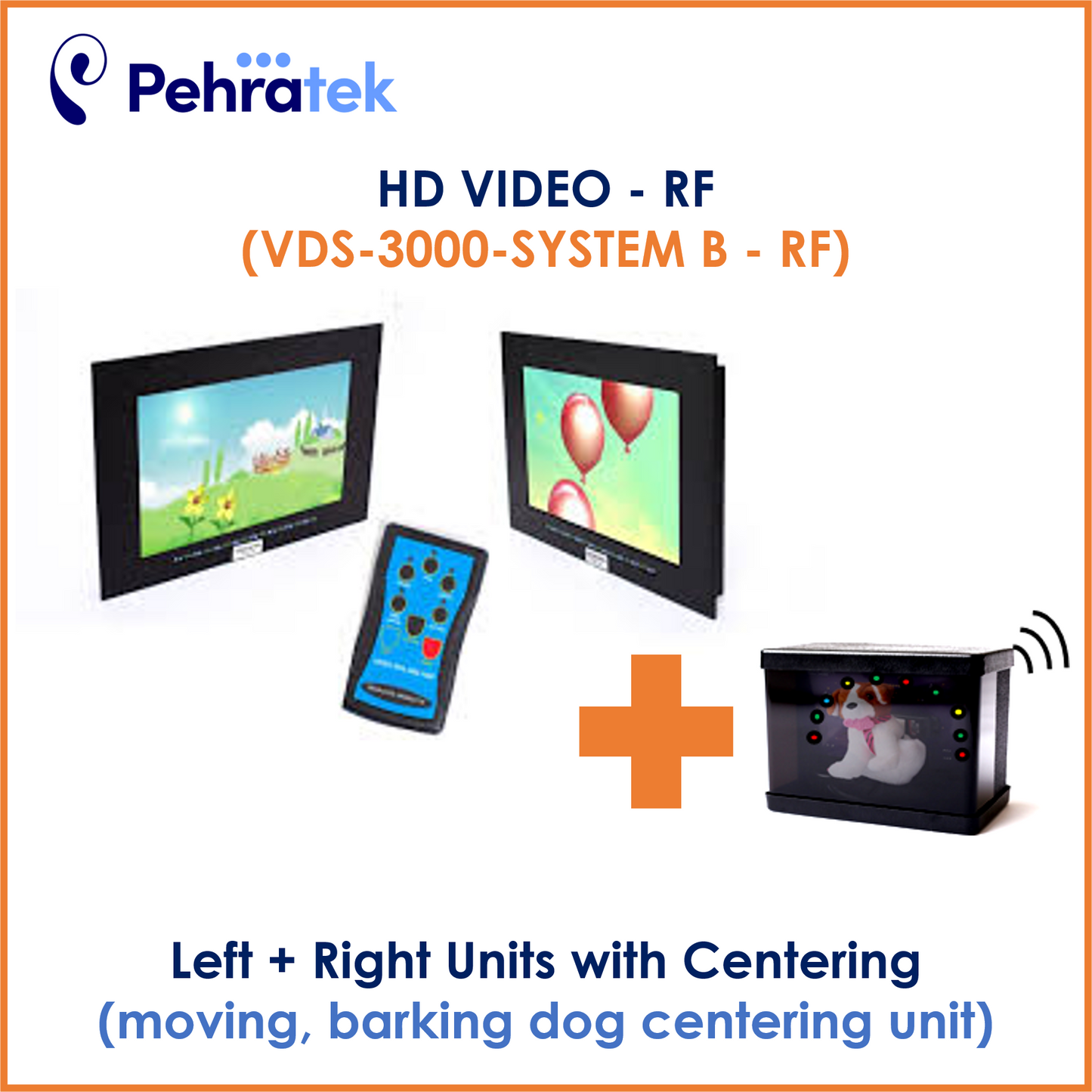 Video VRA System (VDS-3000)