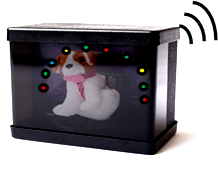 Centering - 3D Toy (Dog)